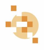 Regulating the Digital Domain logo