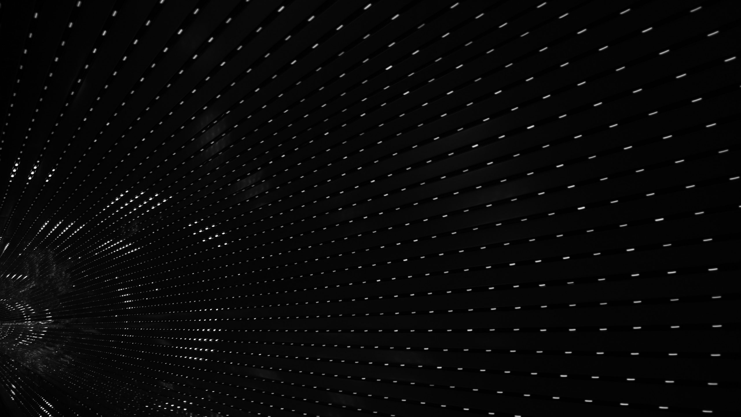 Abstract Image